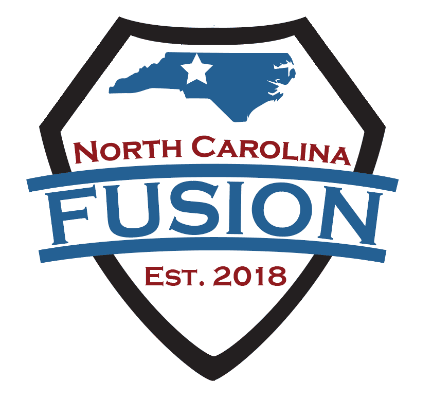 Fusion Logo