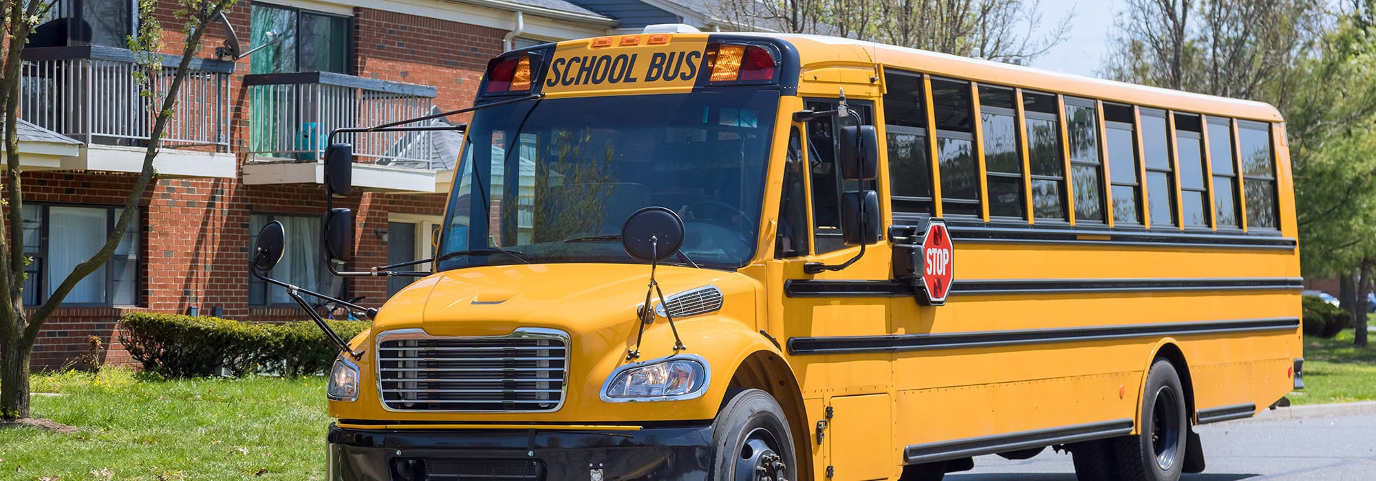 school bus on the road