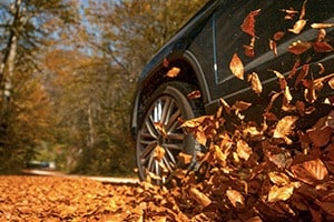 car-driving-through-fall-leaves